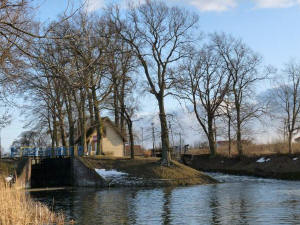 �luza nr 8 "Lisi Ogon"